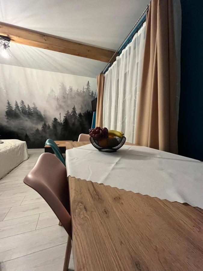 U Babci Na Strychu Daire Zakopane Dış mekan fotoğraf